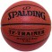 Spalding NBA Trainer Weighted Ball