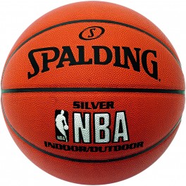 Spalding NBA Silver In/Outdoor